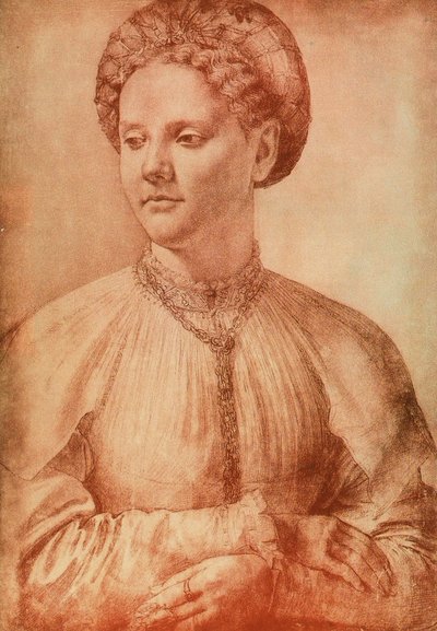 Portrait of a Noblewoman by Leonardo da Vinci